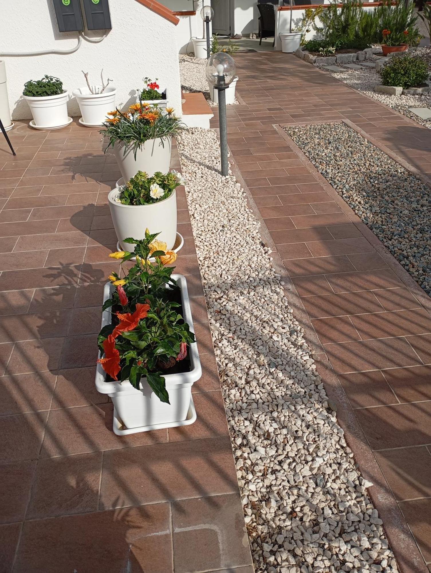 Apartament Casa Pipere Santa Lucia  Zewnętrze zdjęcie